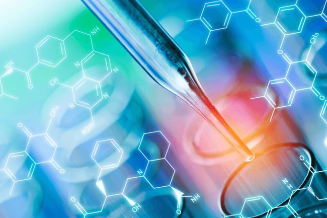 An in vitro model of acute horizontal basal cell activation reveals gene regulatory networks underlying the nascent activation phase