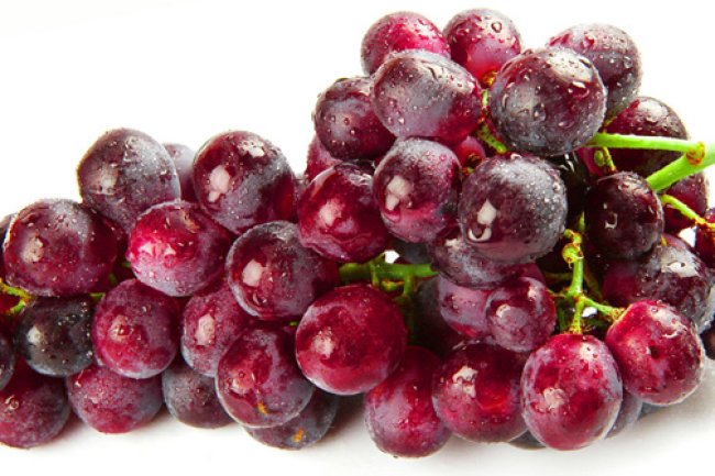 Grape Stem Cell -Phytocelltec™ Solar Vitis Nu