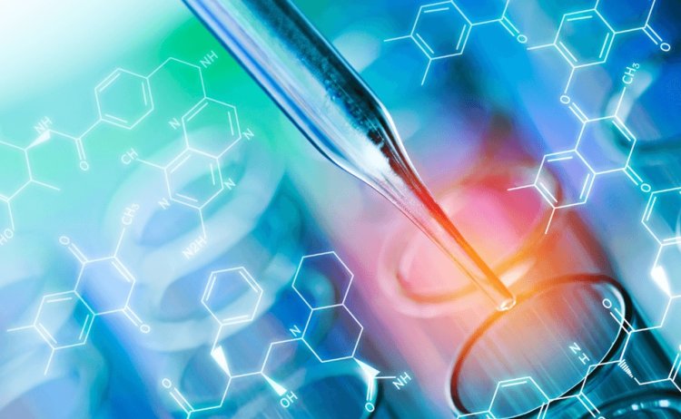 An in vitro model of acute horizontal basal cell activation reveals gene regulatory networks underlying the nascent activation phase
