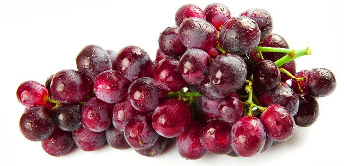 Grape Stem Cell -Phytocelltec™ Solar Vitis Nu