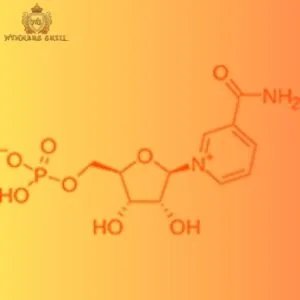 Human microglial cells as a therapeutic target in a neurodevelopmental disease model